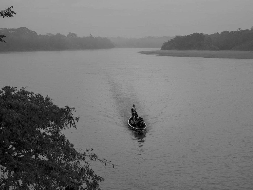 SIONA nacotrafico bosques